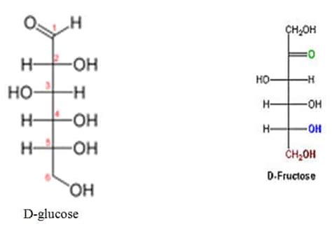 Isomers: Structure and Function | SchoolWorkHelper