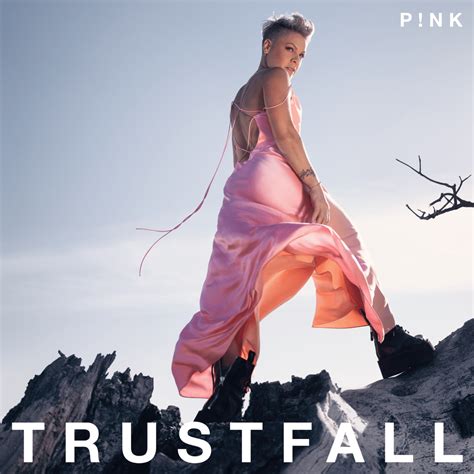 P!nk – Turbulence Lyrics | Genius Lyrics