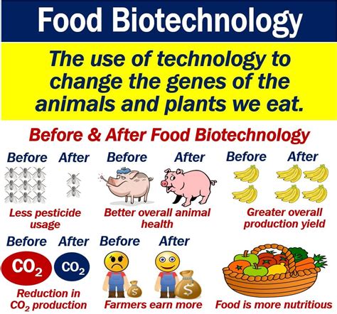 What is food biotechnology? Definition and examples - Market Business News