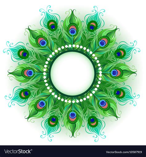 Mandala of green peacock feathers Royalty Free Vector Image