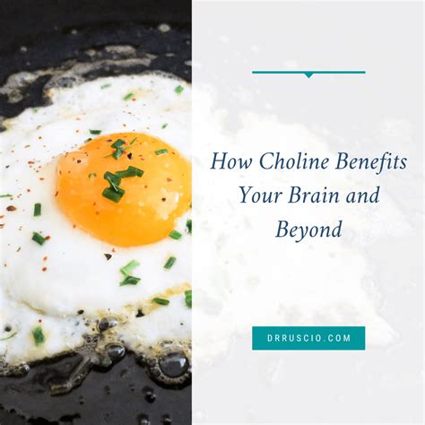 How Choline Benefits Your Brain and Beyond - Dr. Michael Ruscio, DC