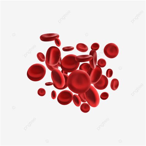 Blood Cells Illustration, Blood Cells, Blood, Illustration PNG and ...