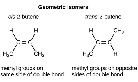 Isomer Definition Types Example And Quiz Biology