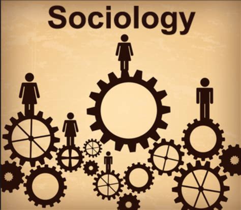 12 Signs You're A Sociology Major | Sociology, Sociology major, Science ...