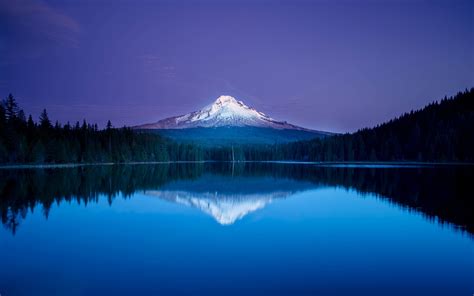 blue, Mountain, Lake, Reflection, Forest, Oregon Wallpapers HD / Desktop and Mobile Backgrounds