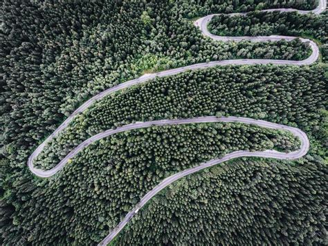 Winding road in the forest seen from above — Stock Photo © calinstan ...