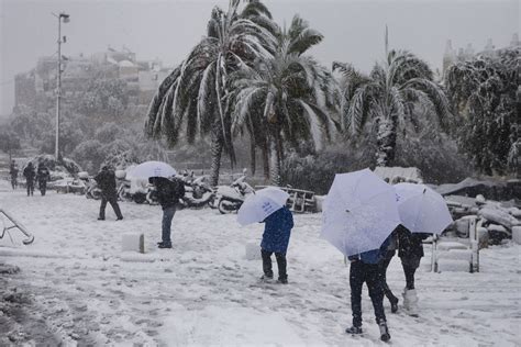 19 Startling Photos Of The Snow In Florida