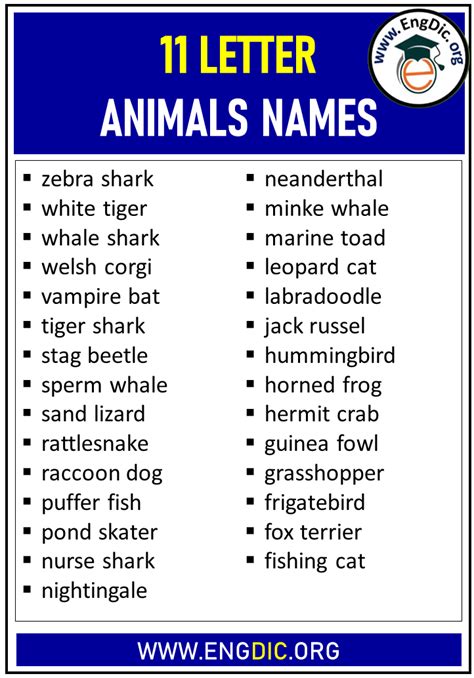 11 Letter Animals Names List - EngDic