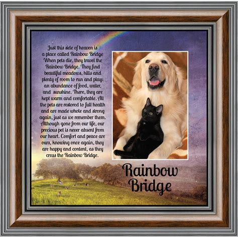 Rainbow Bridge Pet Memorial Gifts - Dog Memorial Gifts, Loss of Dog Gifts, Cat Memorial Gifts ...