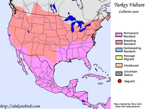 Turkey Vulture - Species Range Map