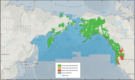 Chinook Salmon Migration Map