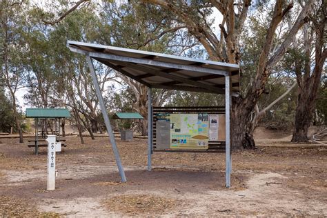 Coach and Horses Campground, Paroo Darling National Park | The Darling River Run