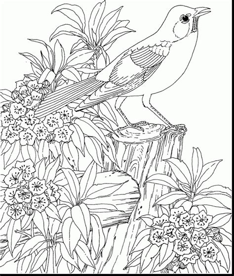 Tropical Coloring Pages For Adults at GetColorings.com | Free printable ...