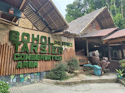 Bilar Bohol Tarsier Sanctuary: A Haven for Endangered Primates