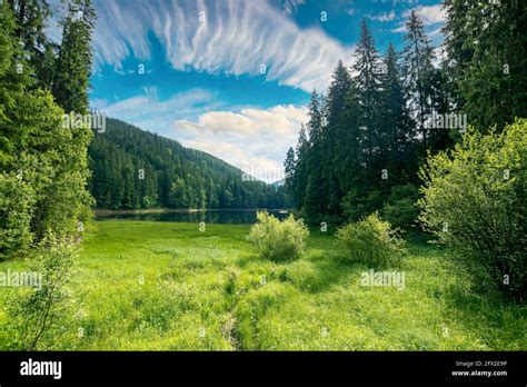 mountain summer landscape with lake. beautiful nature scenery of ...