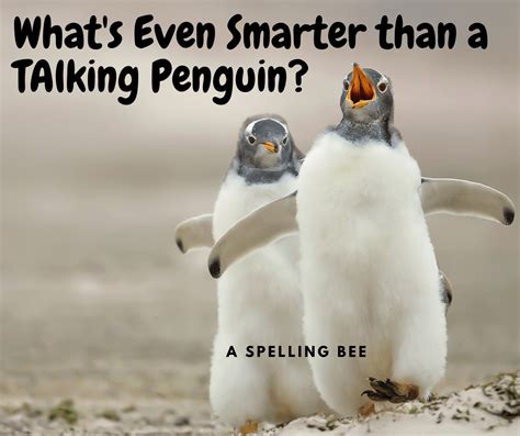 Best Funny Penguin Jokes for Children| I Love Penguins