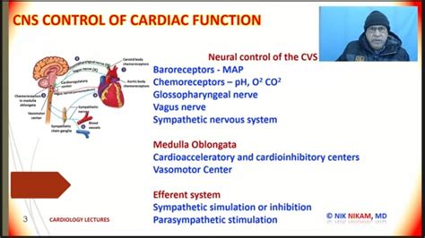 BARORECEPTORS AND CHEMORECEPTORS ON HEART FUNCTION BY NIK NIKAM MD - YouTube