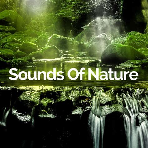 Relaxing Nature Sounds for Sleeping - Natural Calm Forest Waterfall ...