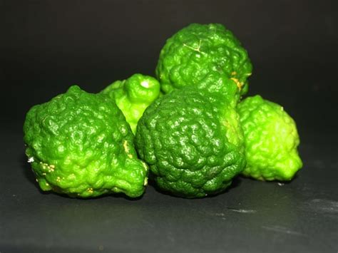 Bergamot Fruit Free Stock Photo - Public Domain Pictures