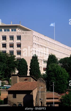 italy, rome, fao headquarters Stock Photo: 87774553 - Alamy