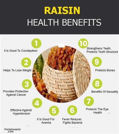 11 Incredible Health Benefits Of Raisins (Thompson Seedless)