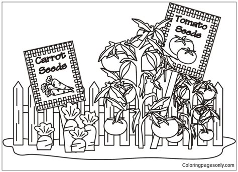 vegetable garden coloring pages gardens coloring pages - kids gardening ...