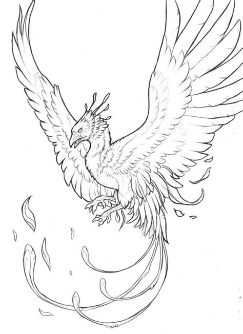 Pin by Salvador on Arquitectura | Bird coloring pages, Phoenix drawing, Sketches