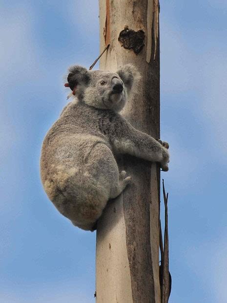 Pictures of the day: 21 June 2011