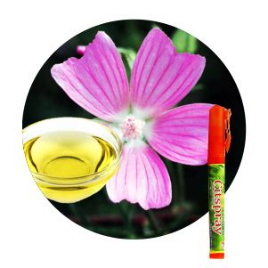 Musk Essential Oil | Citspray