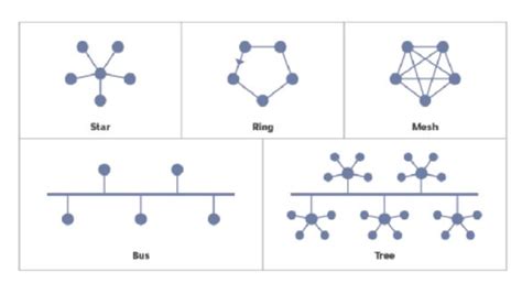 Types of Network Topology - Library & Information Science Education Network