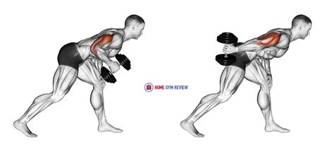 Dumbbell One Arm Kickback - Home Gym Review