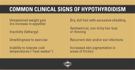 Signs Of Thyroid Problems In Dogs