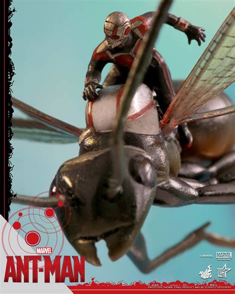 Hot Toys Ant-Man on Flying Ant Miniature Figure! - Marvel Toy News