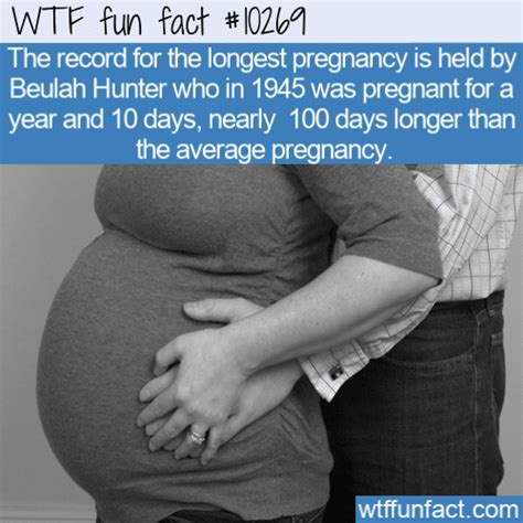 WTF Fun Fact - Longest Pregnancy