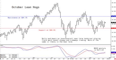 Pig outlook: Choppy, sideways lean hog futures trading | The Pig Site