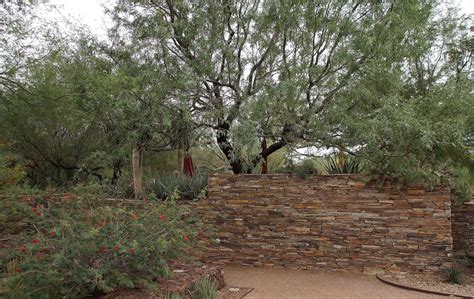 Four Things About The Phoenix Desert Botanical Garden