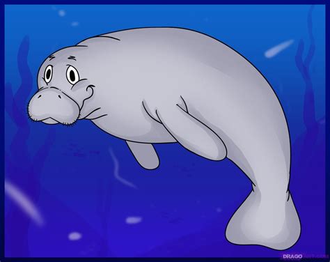 How to Draw a Cartoon Manatee~ this will come in handy... ;) | Easy animal drawings, Cartoon ...