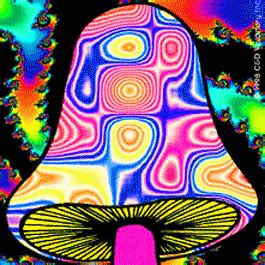 My horrible DXM trip - The Psychedelic Experience - Shroomery Message Board
