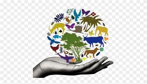 Conservation of biodiversity – Science of Healthy