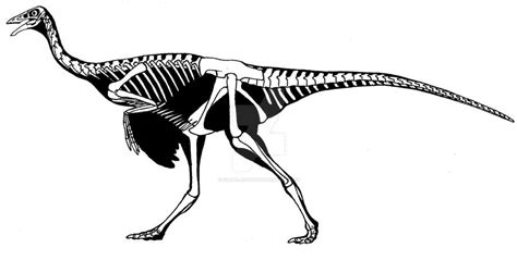 Ornithomimus (2002) by Franz-Josef73 on DeviantArt