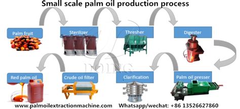 What is the process of making palm oil?_Palm Oil Processing FAQ