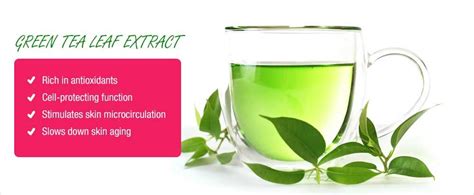 Benefits of Green Tea Leaf Extract | Green tea benefits, Cosmetic surgery, Anti aging treatments