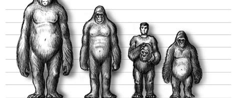 Gigantopithecus Still Alive