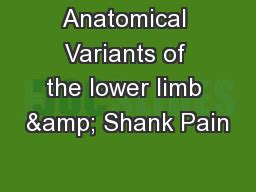 PPT - Anatomical Variants of the lower limb & Shank Pain PowerPoint Presentation