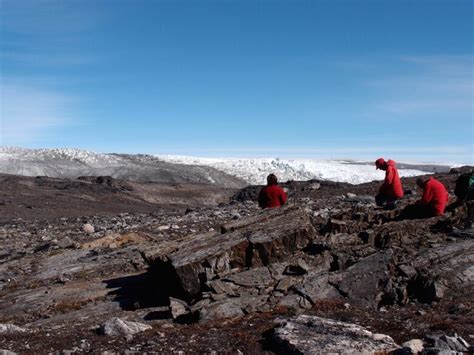 Scientists find 3.7 billion-year-old fossils, oldest known | CBC News