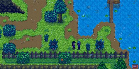 Stardew Valley: Sebastian Heart Event Guide