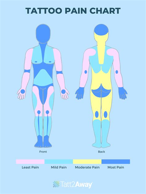 32+ Tattoo Pain Diagram - ArayaAnmaree