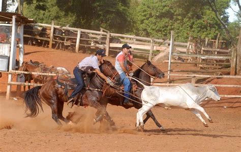 Team Roping, photo, #1367874 - FreeImages.com