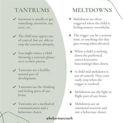 Managing Meltdowns and Tantrums - Neilson Mahoney Coaching