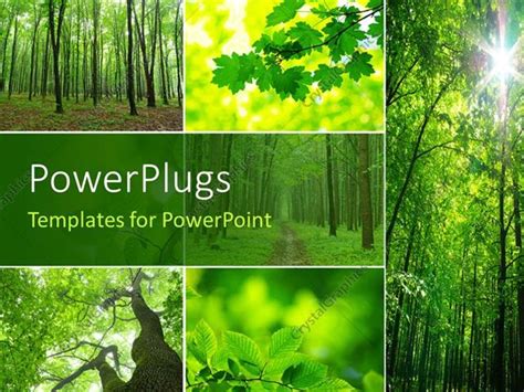 PowerPoint Template: collage of a forest with trees and green leaves ...